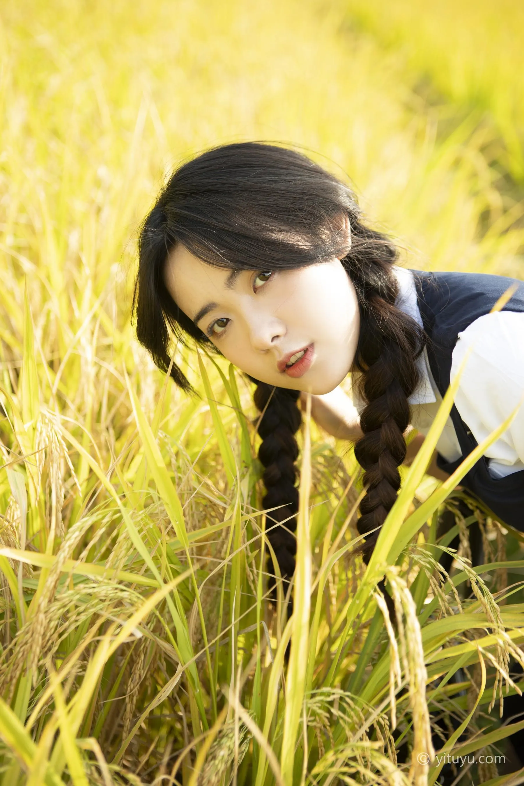 [YITUYU艺图语]2021.03.12 秋日的稻香 黄子卿 [31P]插图1